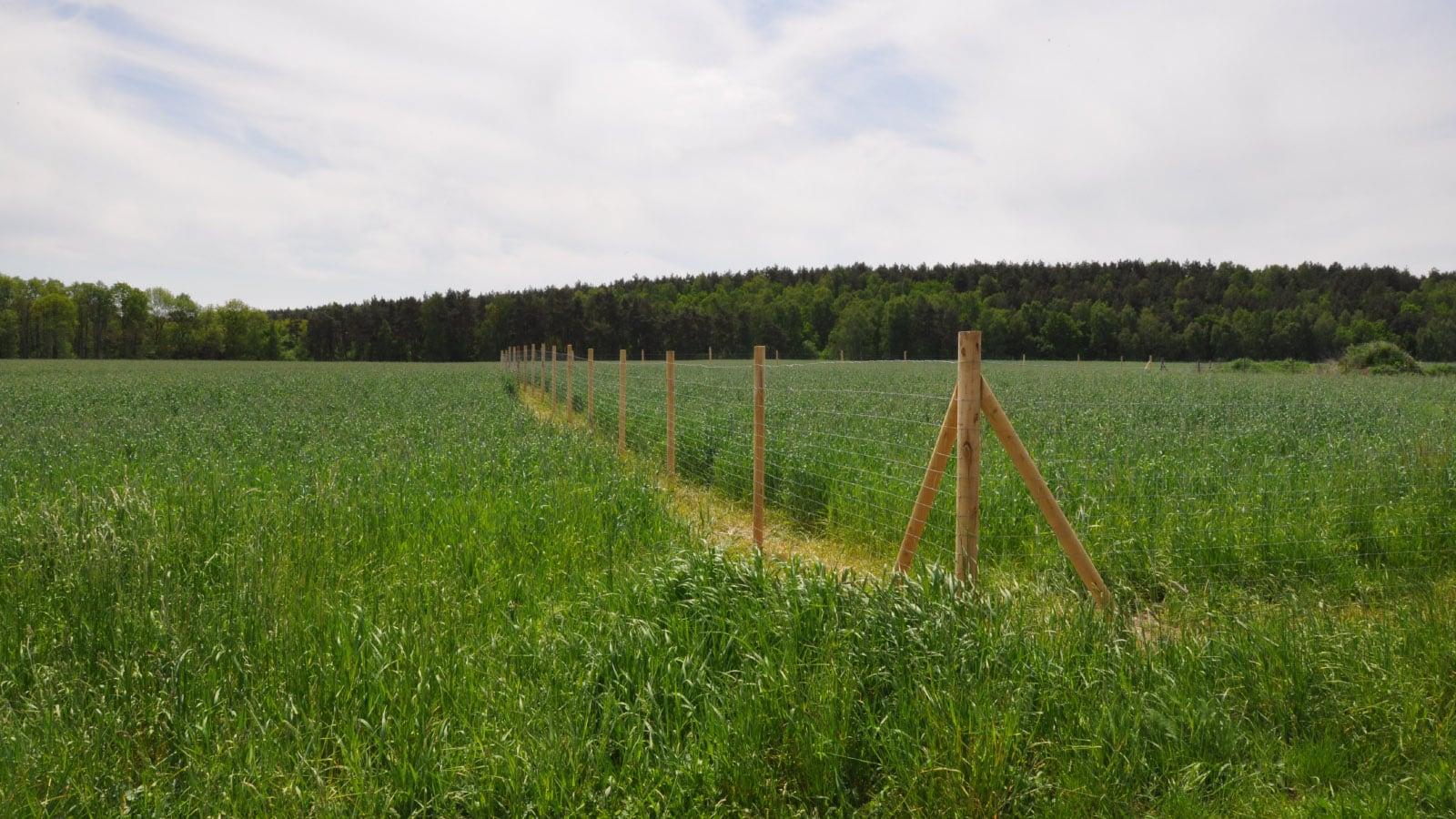 Easyfence - ogrodzenie łąka